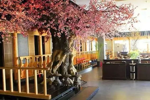 真火真爐真燒烤——回歸原始魅力的餐飲服務(wù)